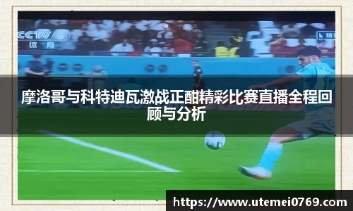 庄闲官网