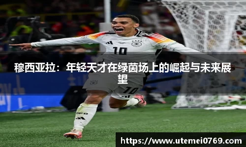 庄闲官网